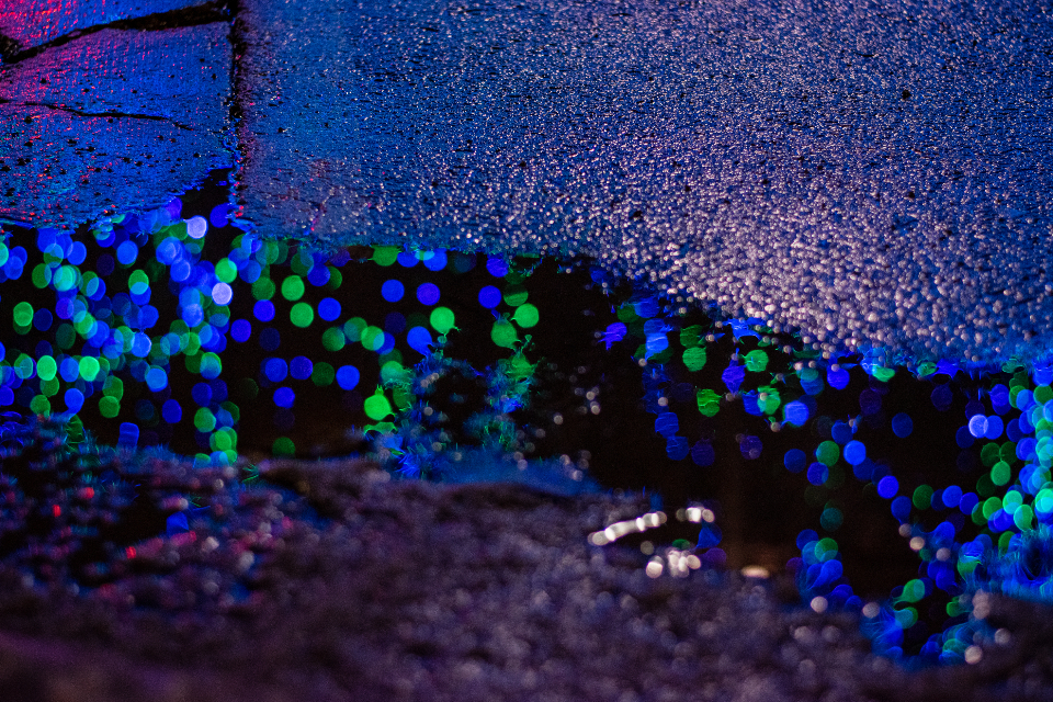 雨の中のフェスで灯りが輝く様子